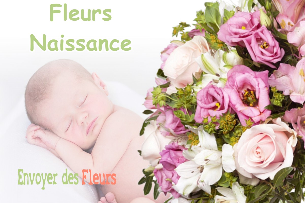 lIVRAISON FLEURS NAISSANCE à LUXEY