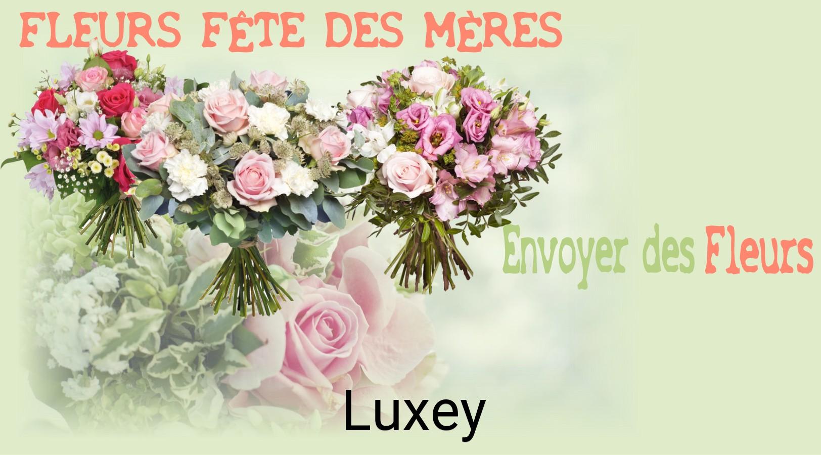 Bouquet de Fête des Mères livré à Luxey